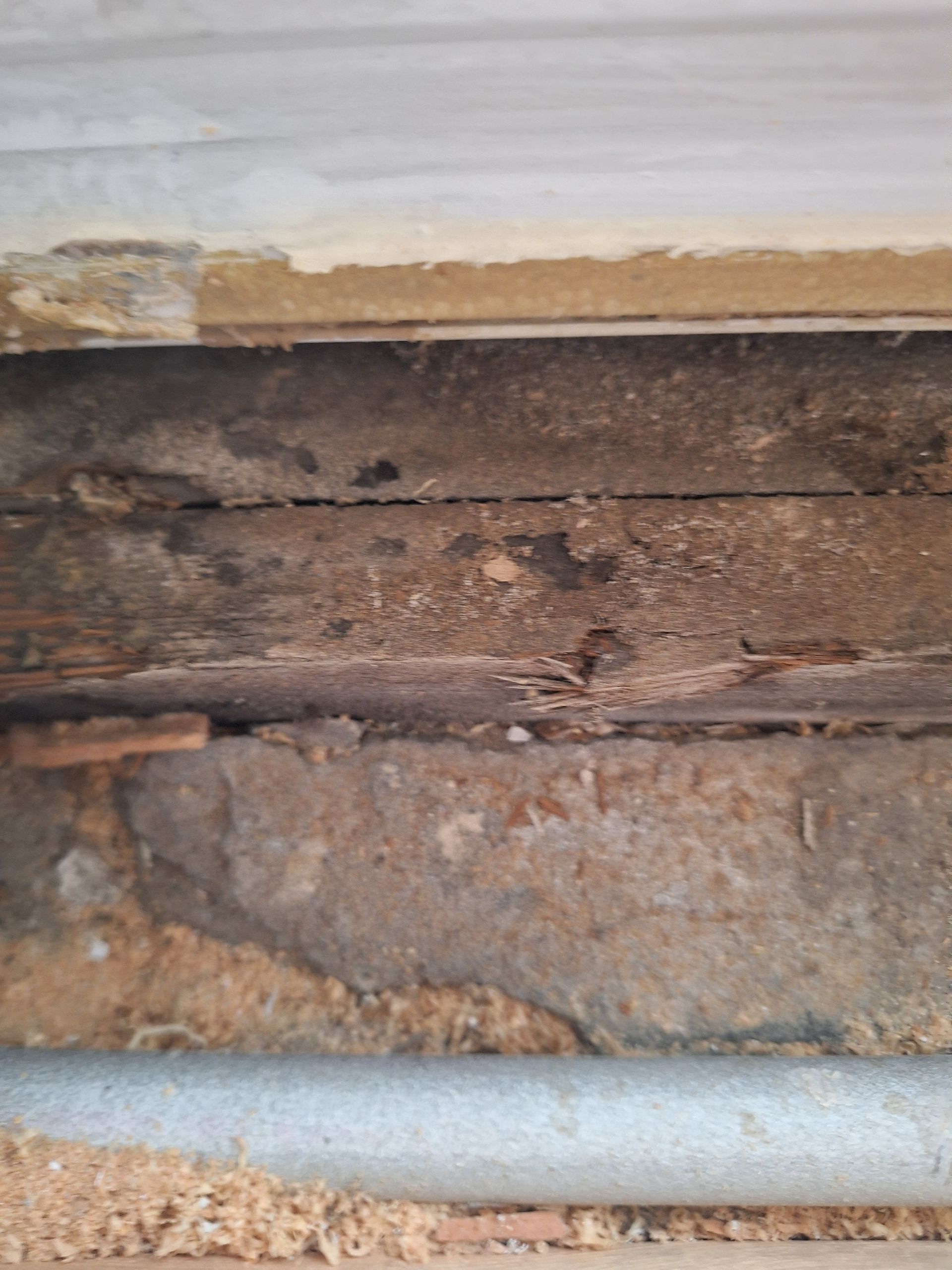 Decaying wood and debris in a wall cavity, with a metal pipe visible at the bottom.