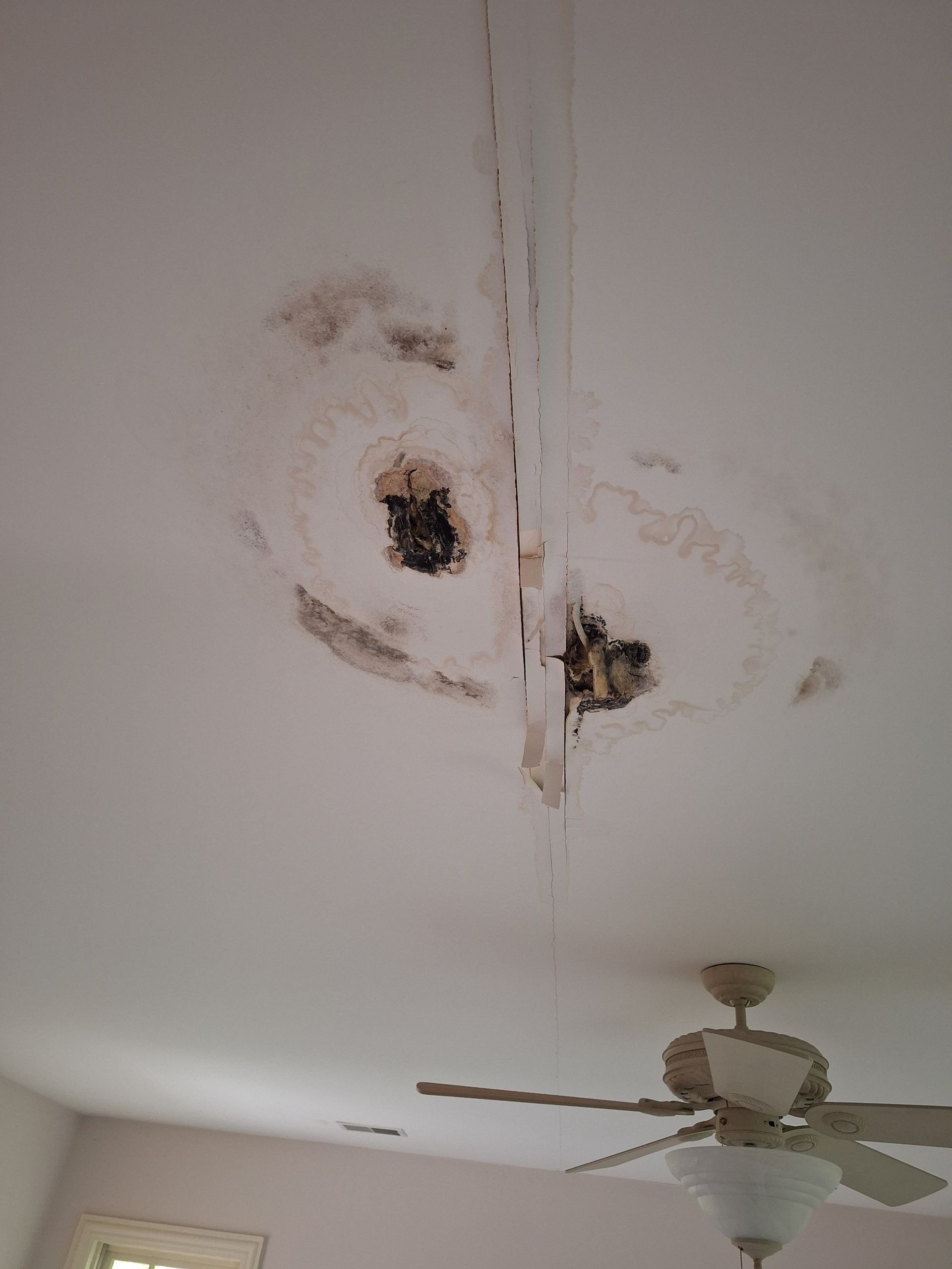 Water damage with mold and a hole in a white ceiling, brown stains and a ceiling fan.