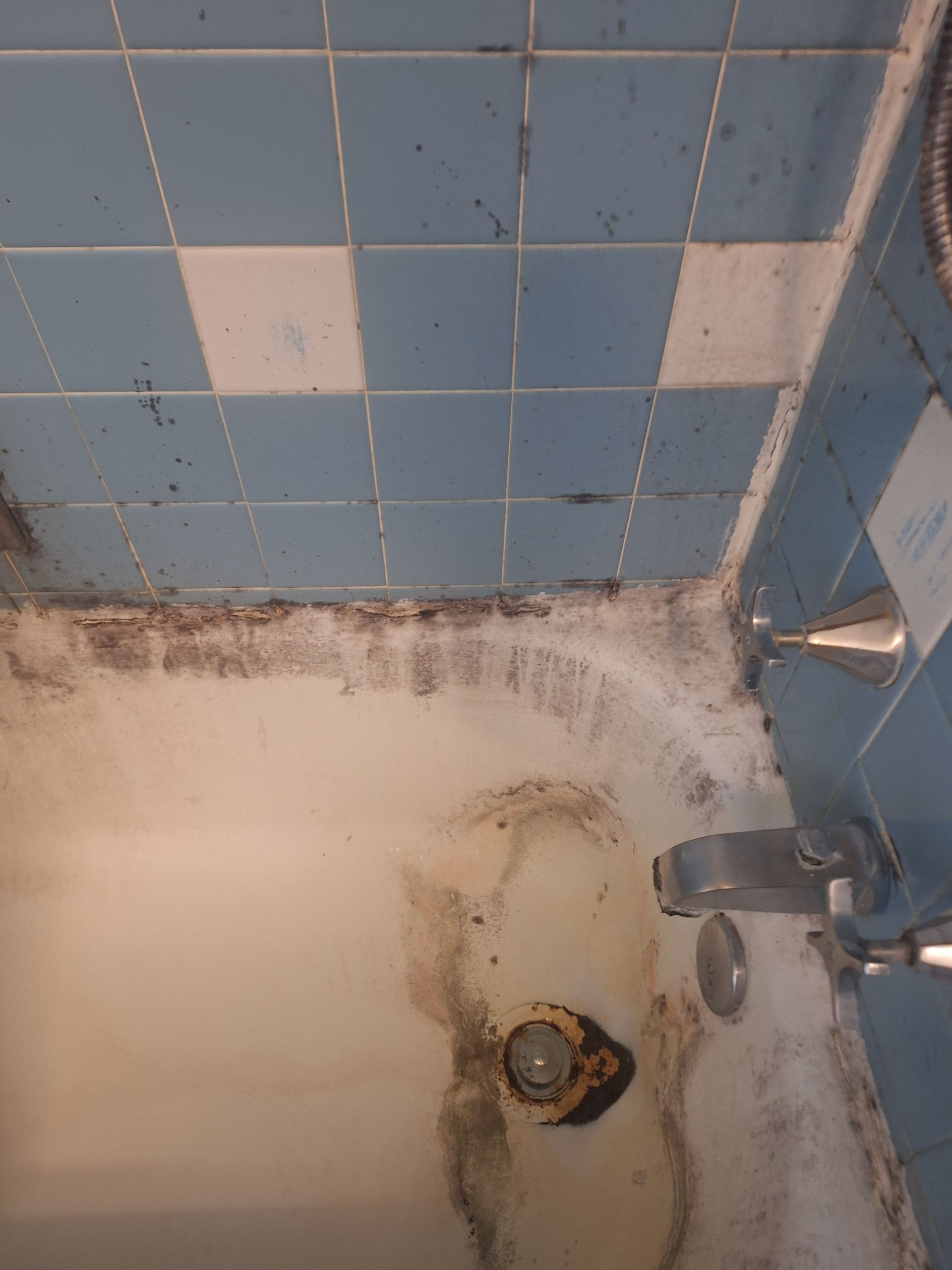 Dirty bathtub with mold and blue tile.