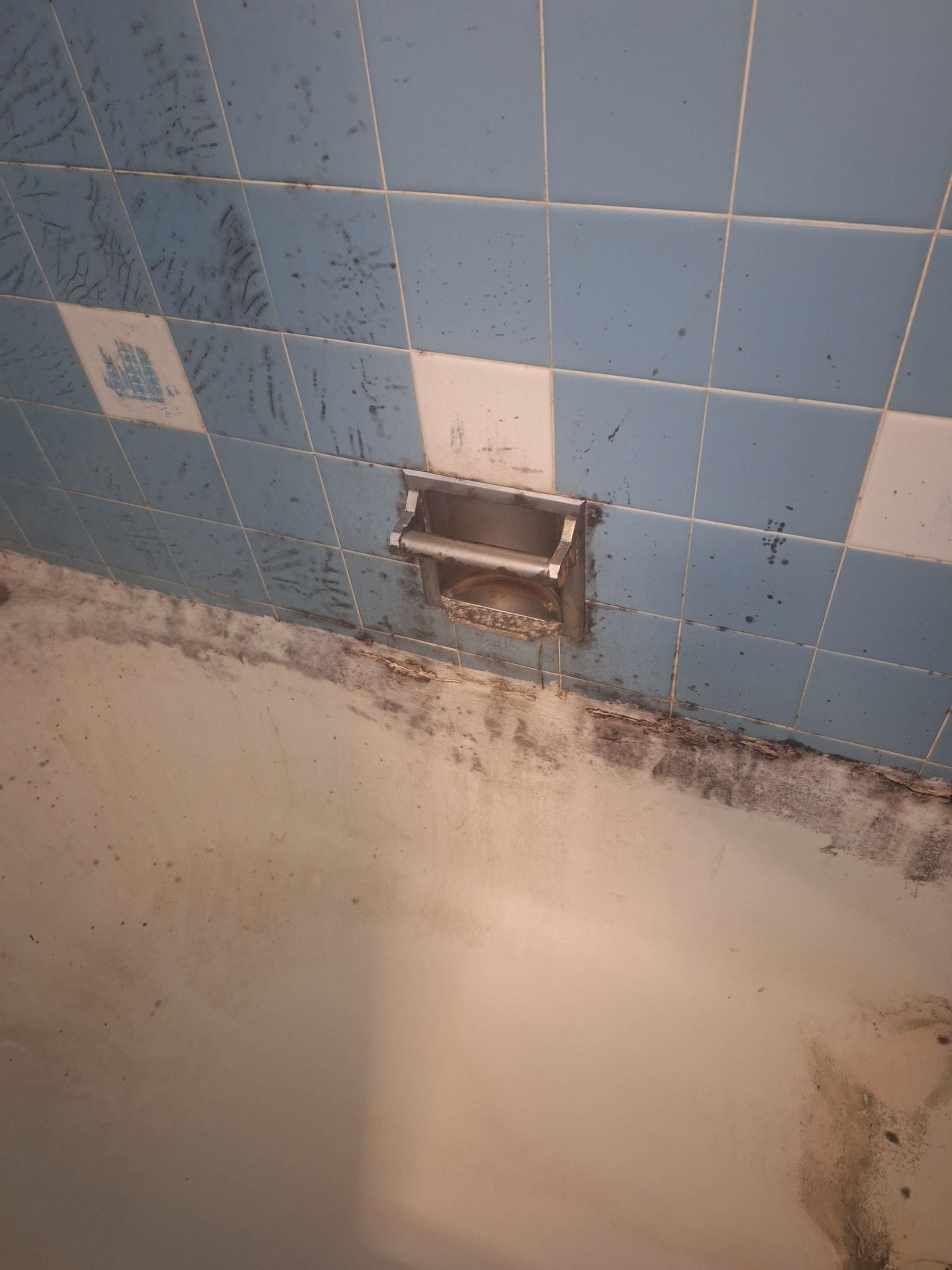 Blue and white tiled bathroom wall with soap dish and mold.
