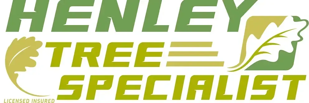 Henley Tree Specialist