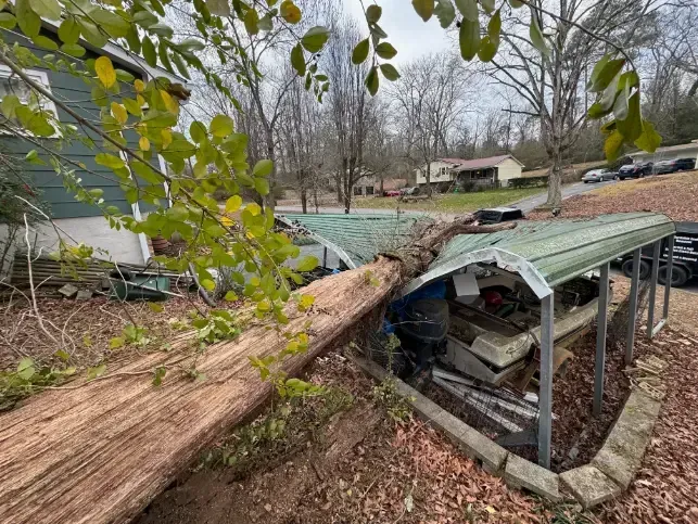 a tree has fallen on a shed in front of a house .