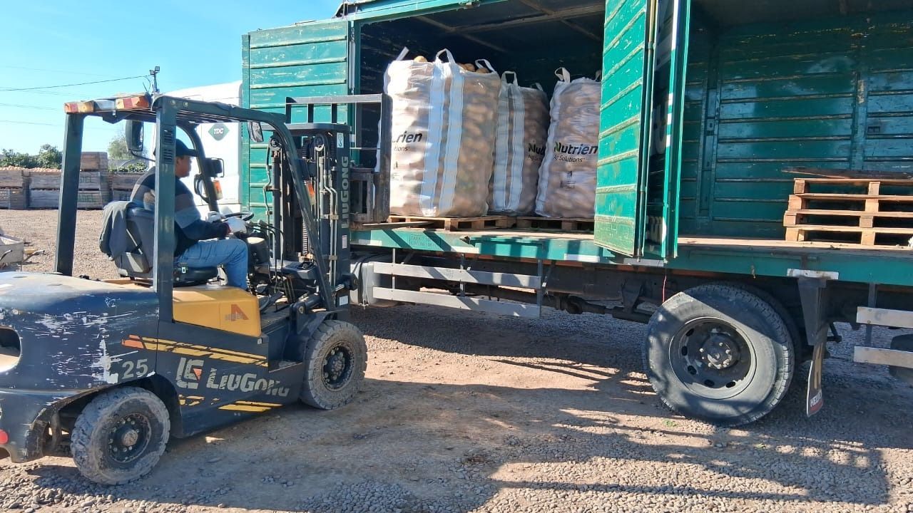 Camioneta plateada estacionada frente a un edificio de ladrillo con puerta verde y palmera bajo un cielo azul.