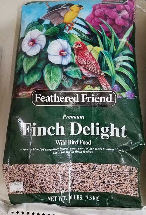 bird food 4