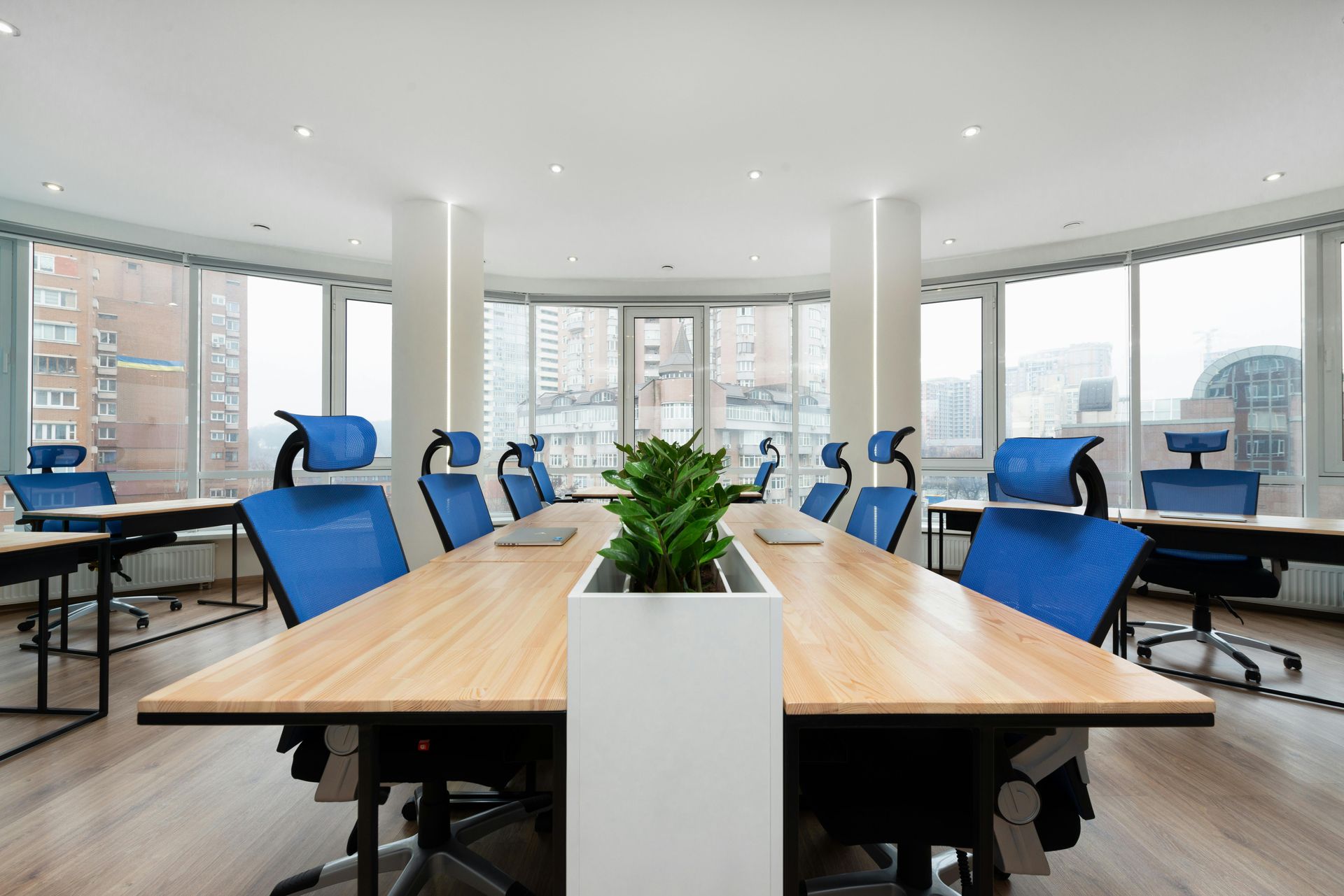 A brightly lit, modern office meeting room with wooden tables, blue ergonomic chairs, and a central potted plant.