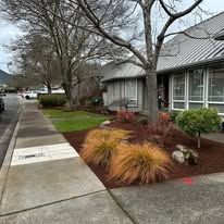 A sidewalk leading to a house with a lot of plants in front of it.