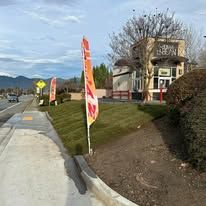 A row of flags are sitting on the side of a road next to a building.