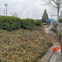 A large pile of brush is sitting on the side of a road.