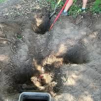 A person is digging a hole in the ground with a shovel.