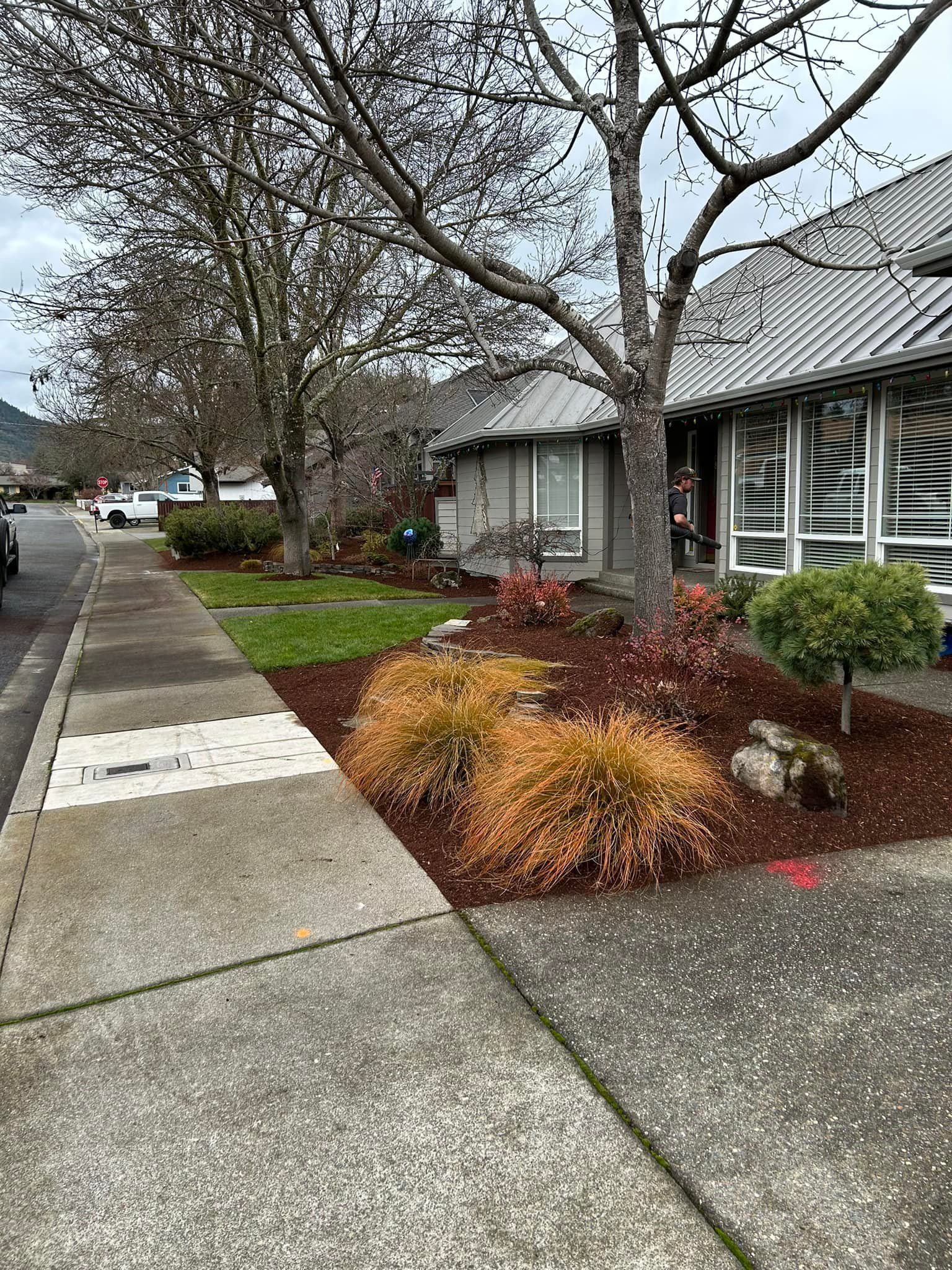 A sidewalk leading to a house with a garden in front of it.
