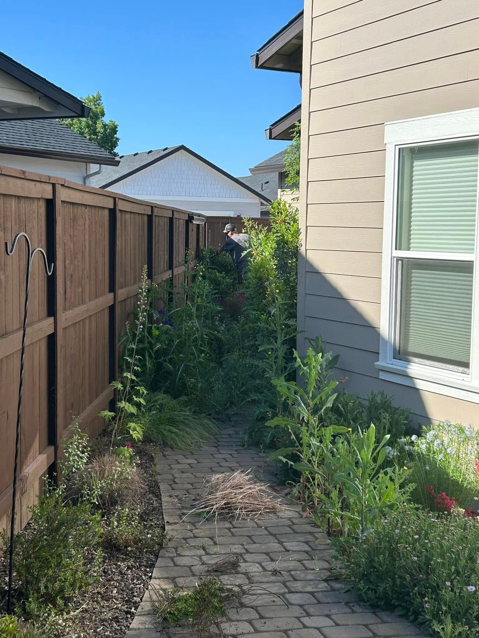 A wooden fence surrounds a brick walkway leading to a house.