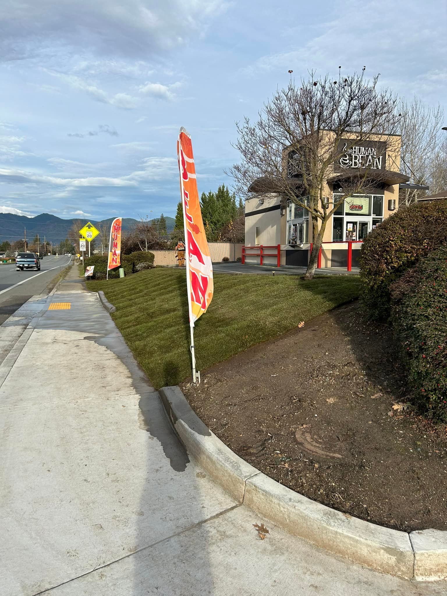 A row of flags are sitting on the side of the road next to a building.