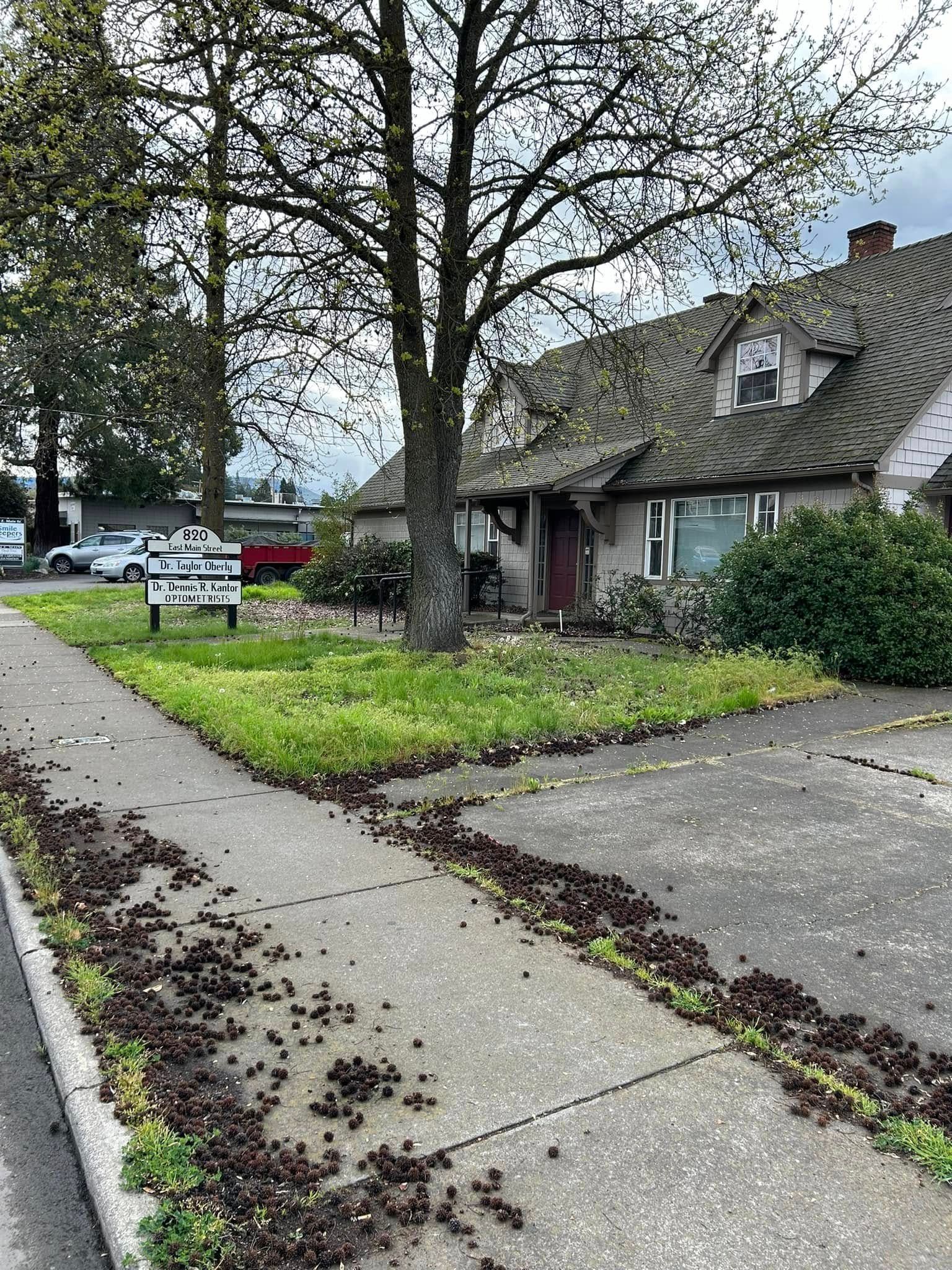 A house with a lot of leaves on the sidewalk in front of it.