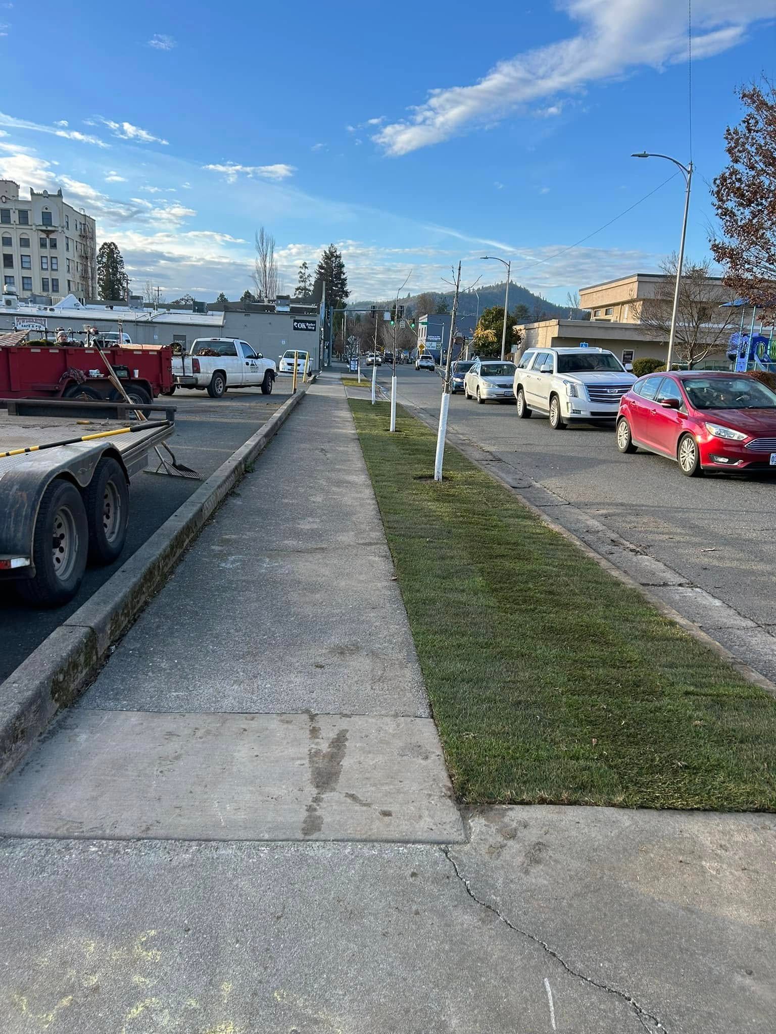 A row of cars are parked on the side of the road next to a sidewalk.