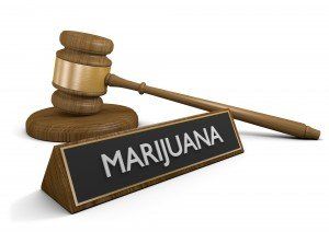 public support for marijuana