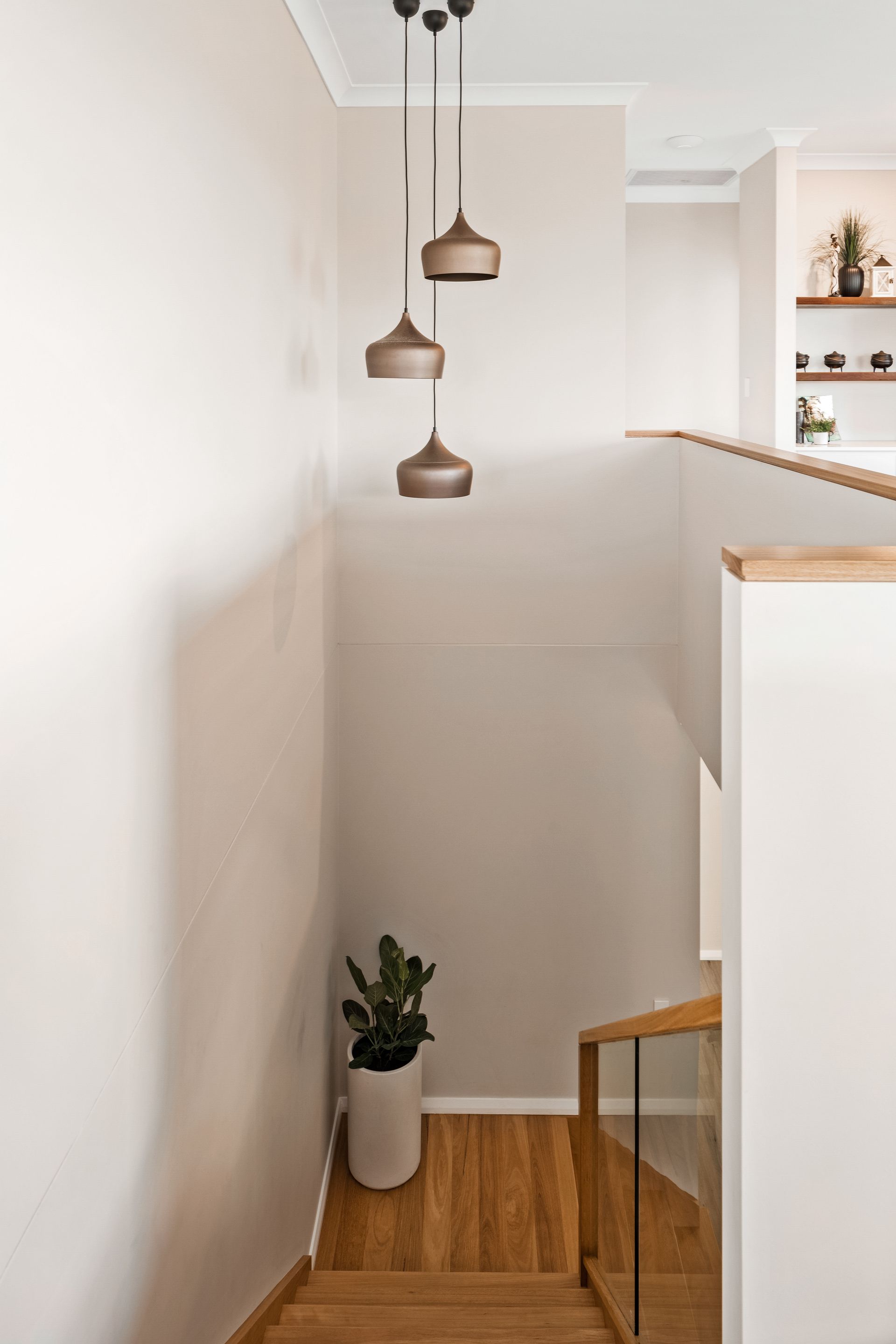 a staircase with a potted plant on the floor and a plant hanging from the ceiling .