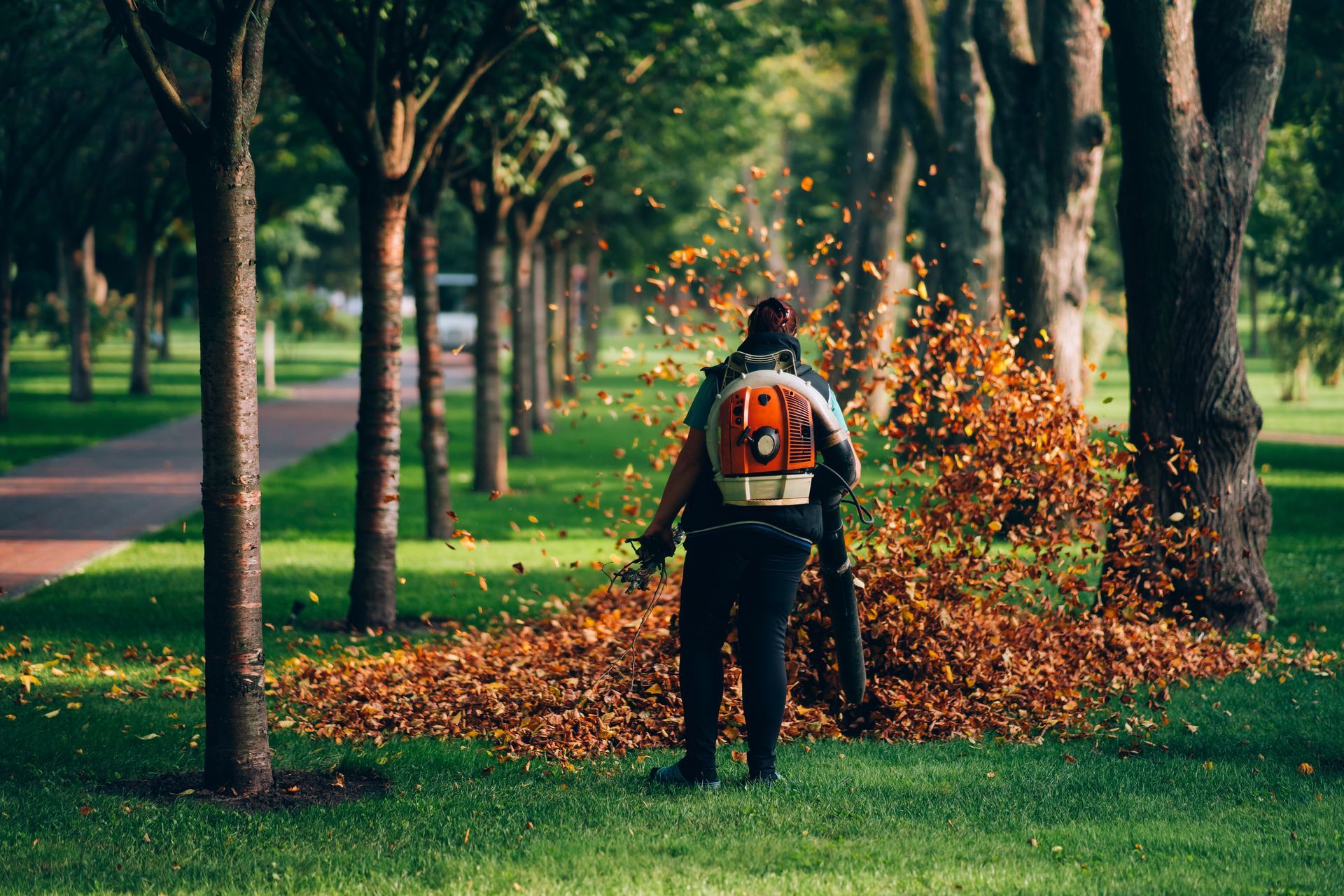 Fall leaf removal in Bartonsville, PA