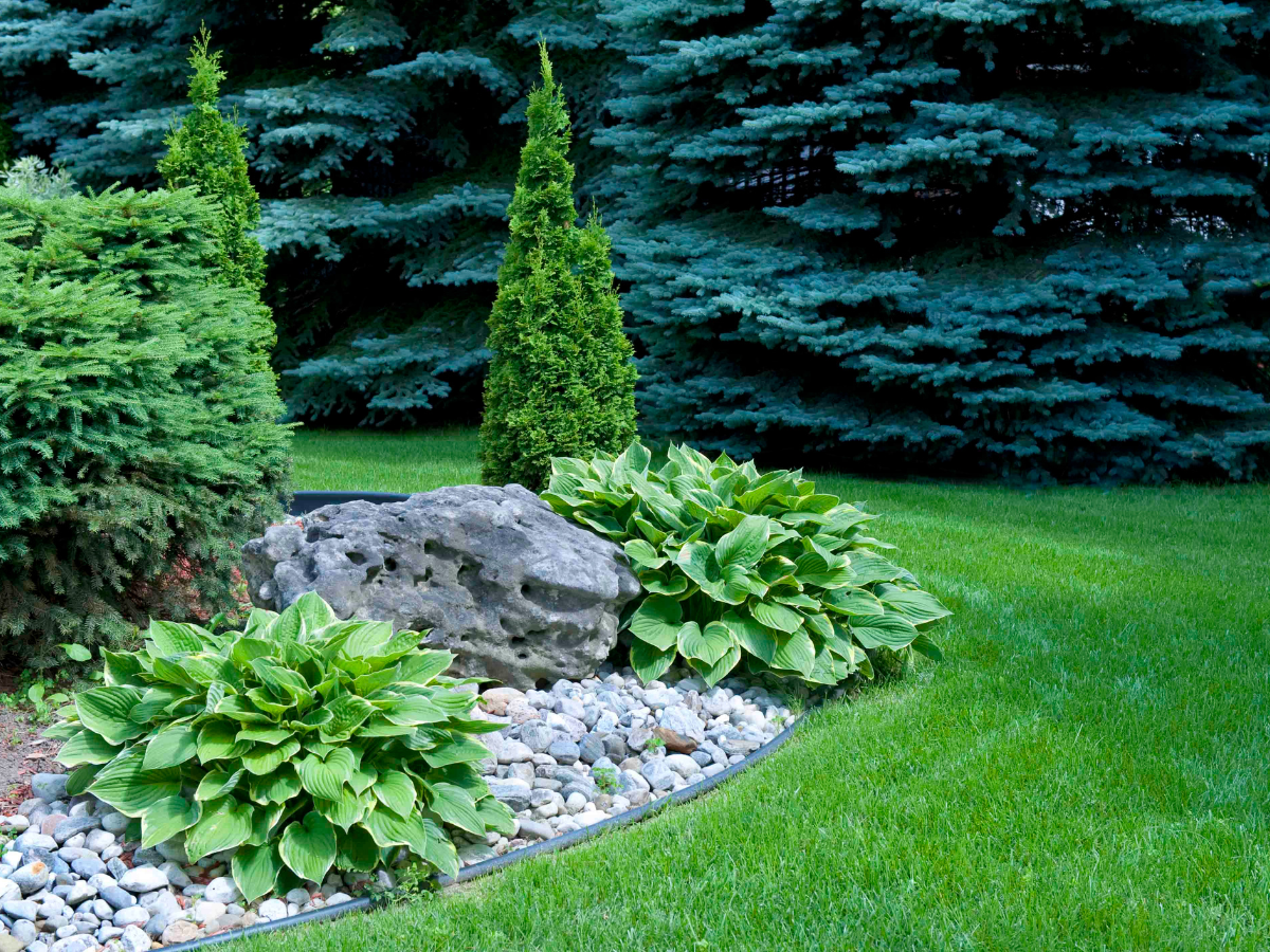 A lush green garden with a rock in the middle and trees in the background.