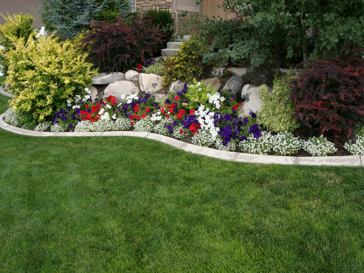 A lush green lawn with a flower bed surrounded by plants and rocks.