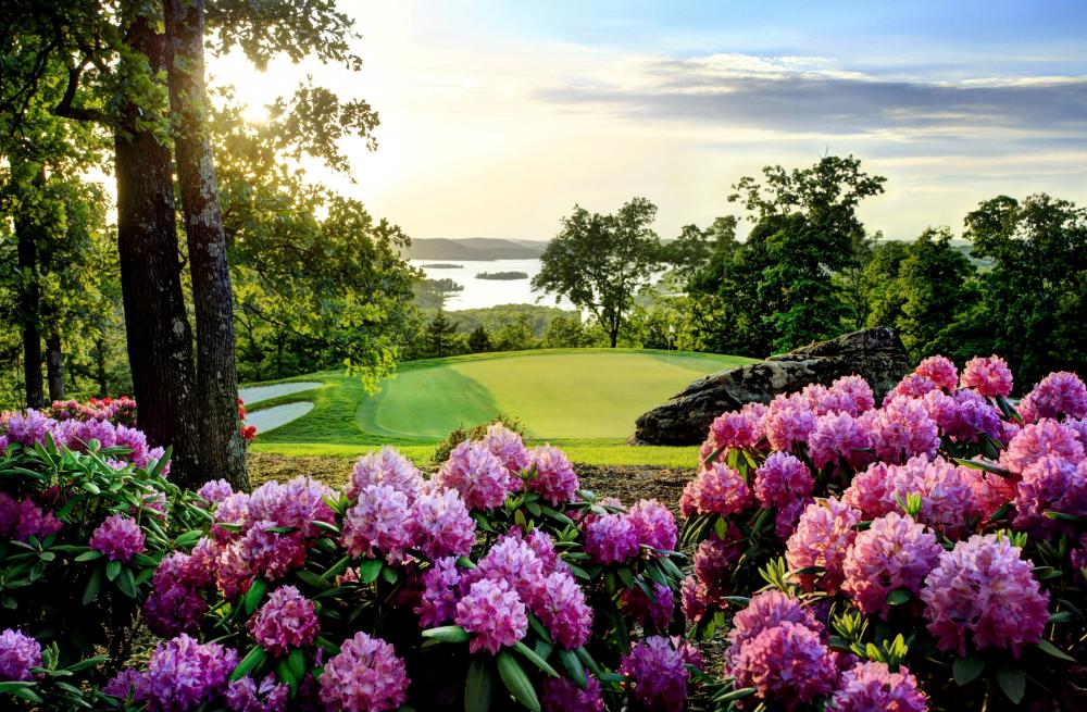 Chatau Cove, Branson, Vacation Rental, Fun, Lodge, Rental, Vacation, Golf