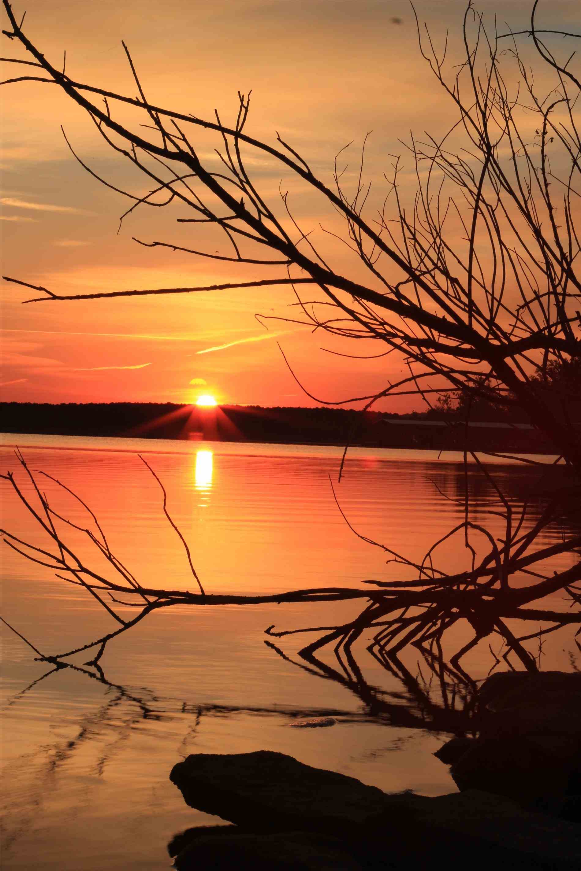 Chateau Cove, Branson, Vacation Rental, Fun, Lodge, Rental, Vacation, Nature, Table Rock Lake, Lake