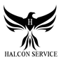 HALCON SERVICE LOGO