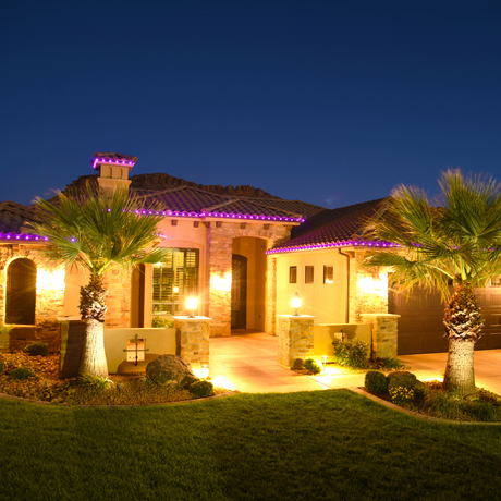 Paradise Home Services | a house with purple lights on the roof and palm trees