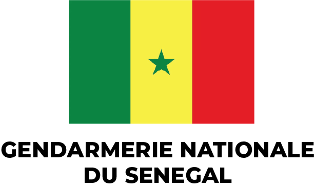 A green , yellow , and red flag with a star in the middle.