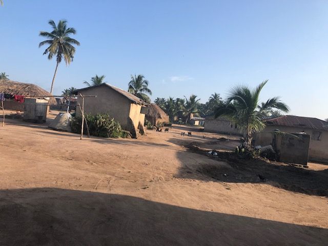 A small village with a few houses and palm trees