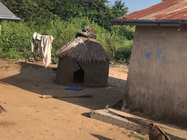 A dog is standing in front of a thatched hut.