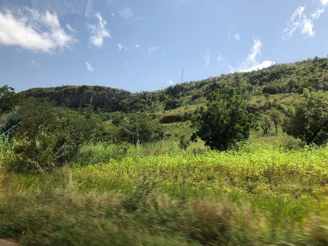 A view of a grassy hillside from a car window.