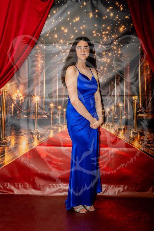 A person stands in a blue satin dress on a red carpet backdrop with gold stanchions and festive string lights.