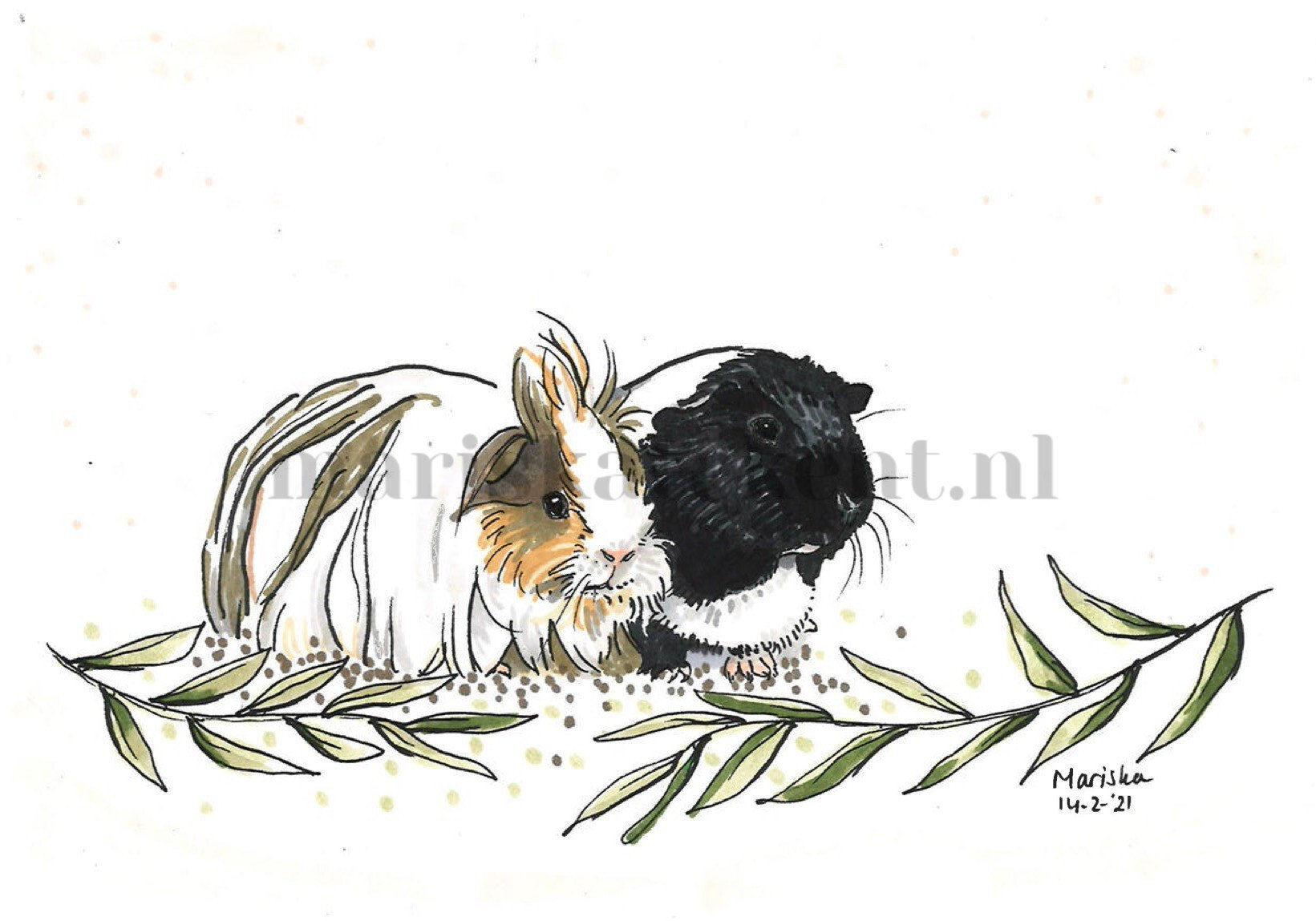 Mariska tekent tekening cavia's