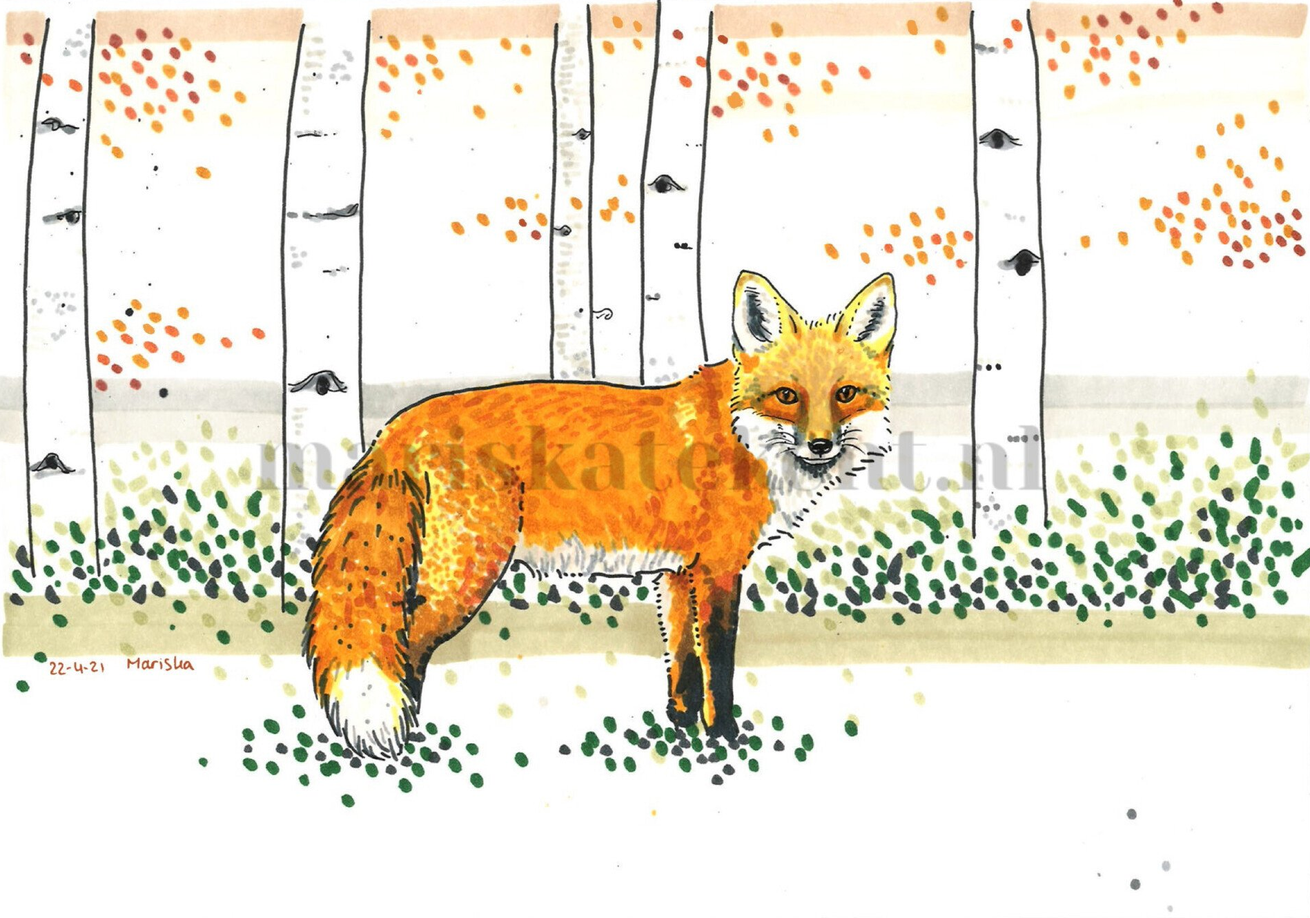 Mariska tekent tekening vos