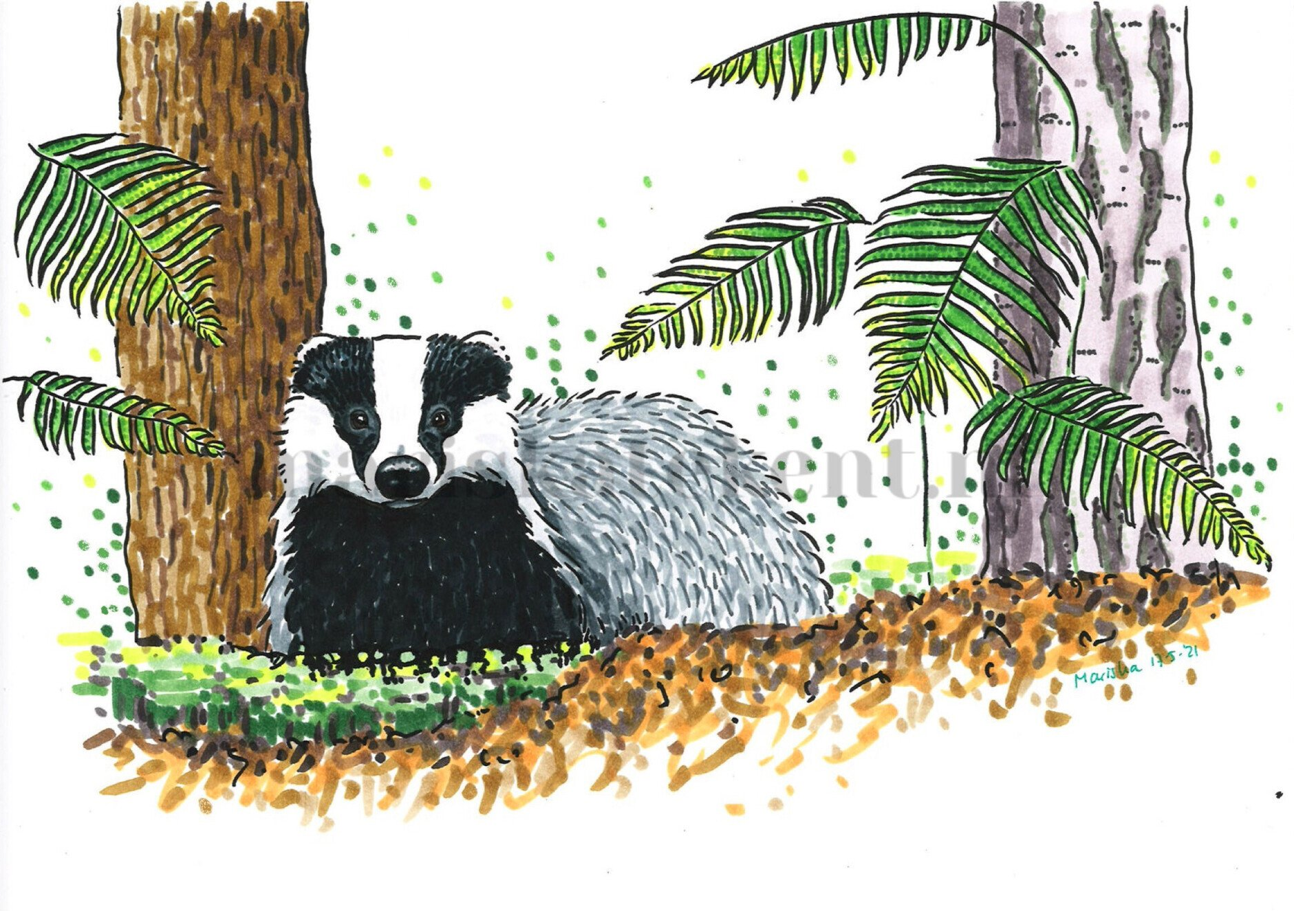 Mariska tekent tekening das