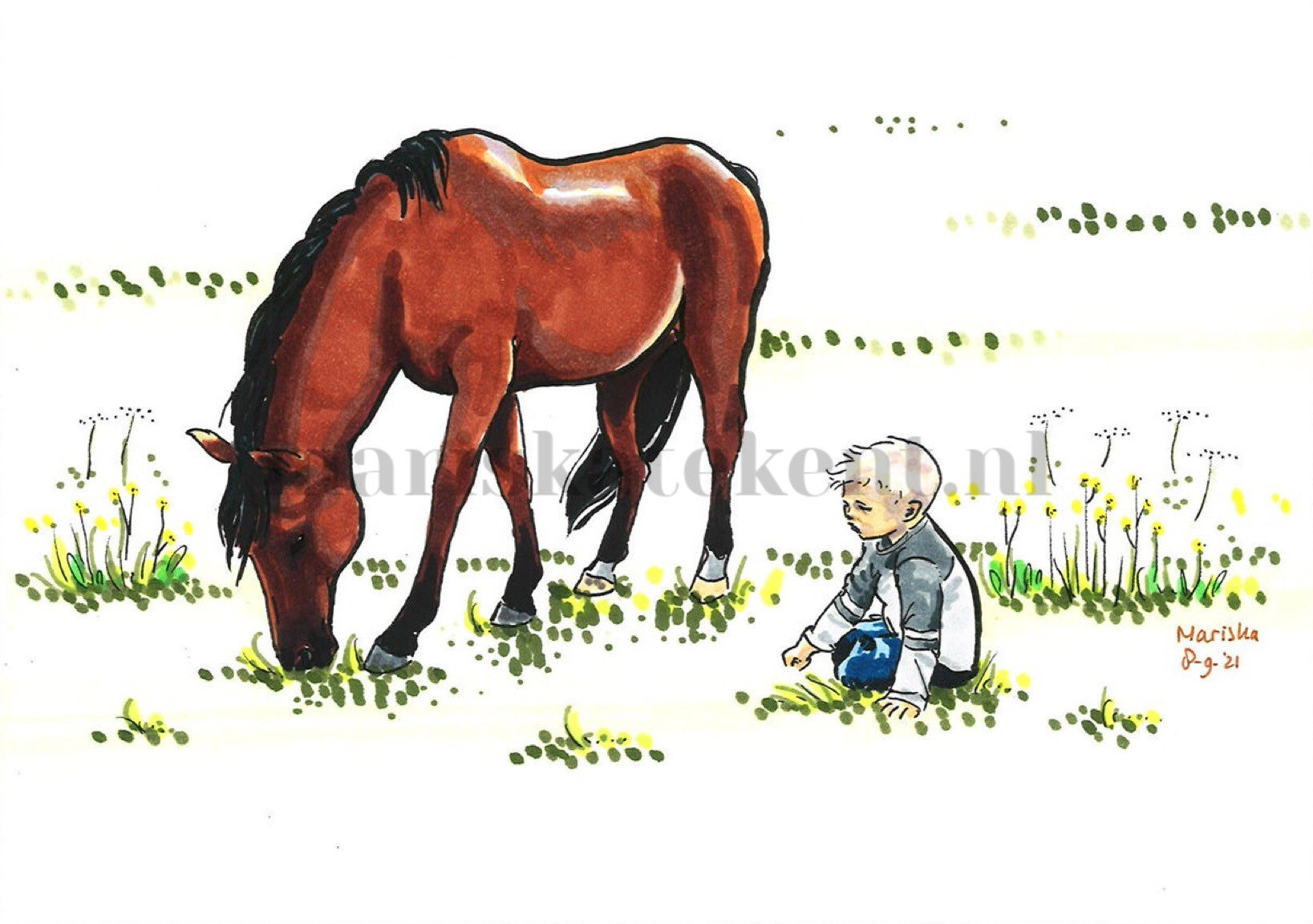 Mariska tekent tekening paard jongen