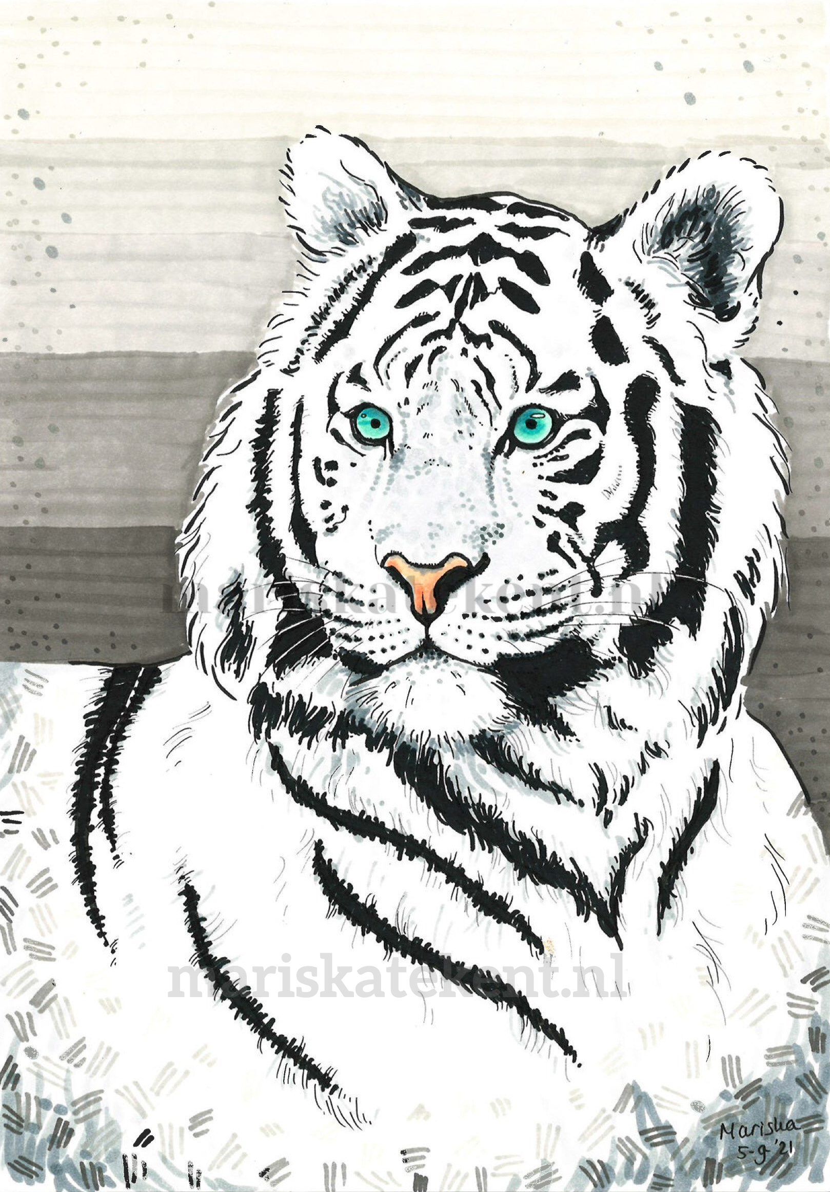 Mariska tekent tekening witte tijger