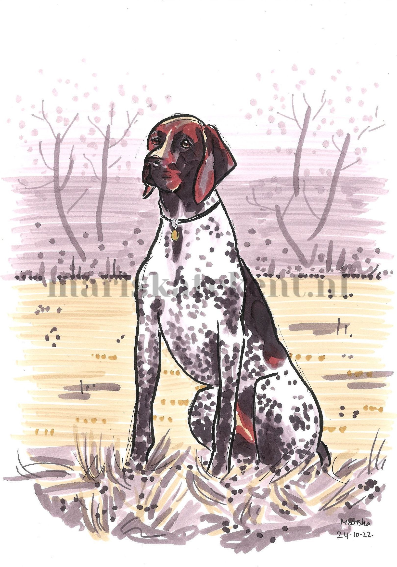 Tekening hond Duitse Staande Mariska