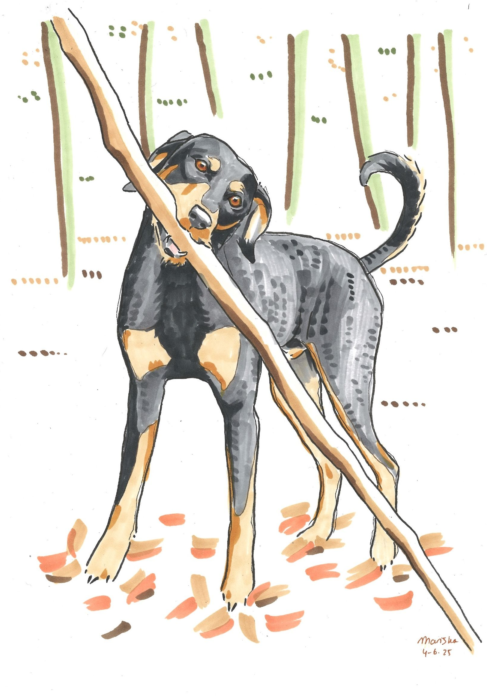 Hond kruising stok mariska tekent