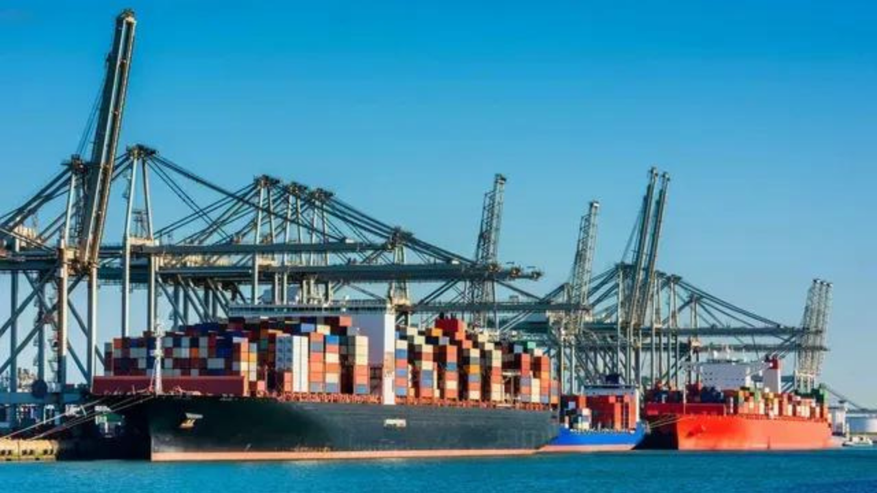 A group of cargo ships are docked in a harbor.