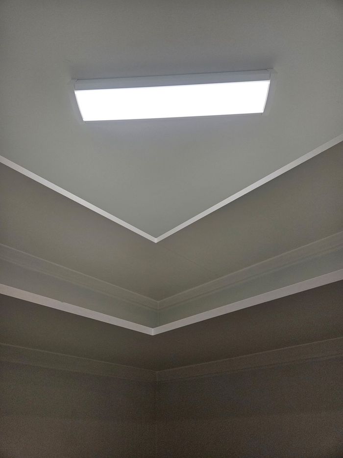 A fluorescent light fixture on a white ceiling, with tan walls below and white molding.