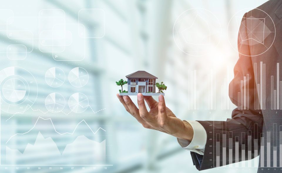 consulenza e assistenza