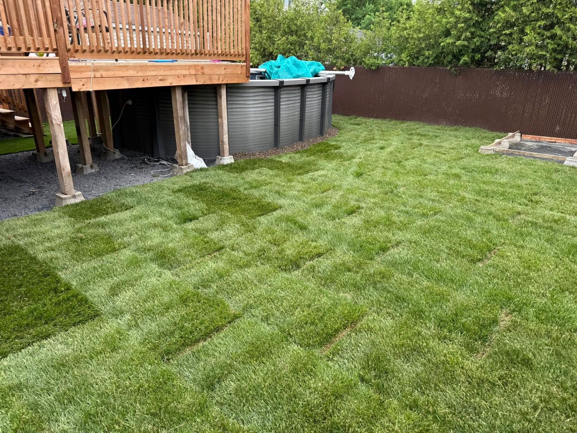 Pelouse avec des plaques de gazon fraîchement posées. Une terrasse et une piscine hors sol sont visibles à l'arrière-plan, et un foyer à droite.