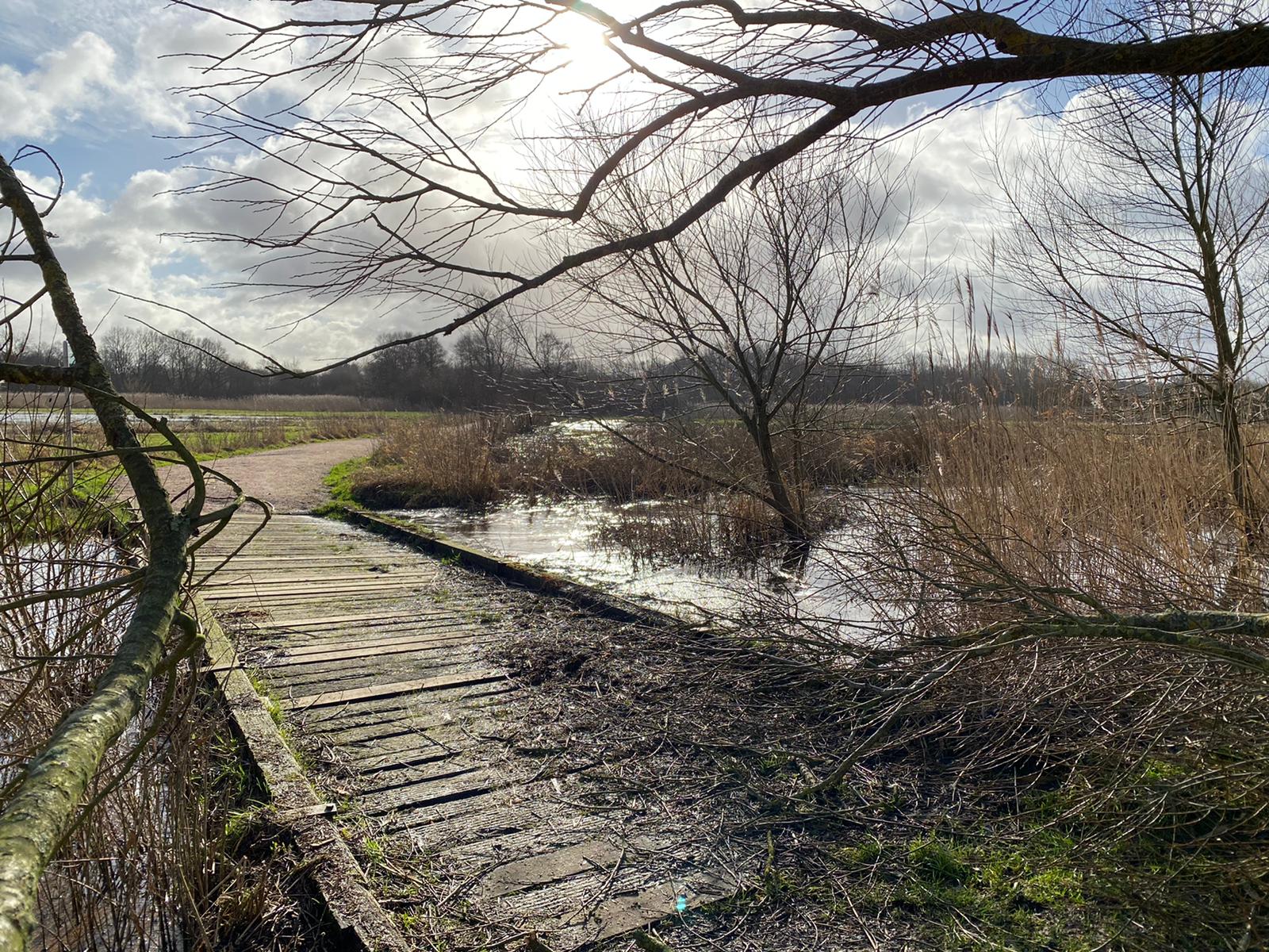Auebrücke nach dem Hochwasser