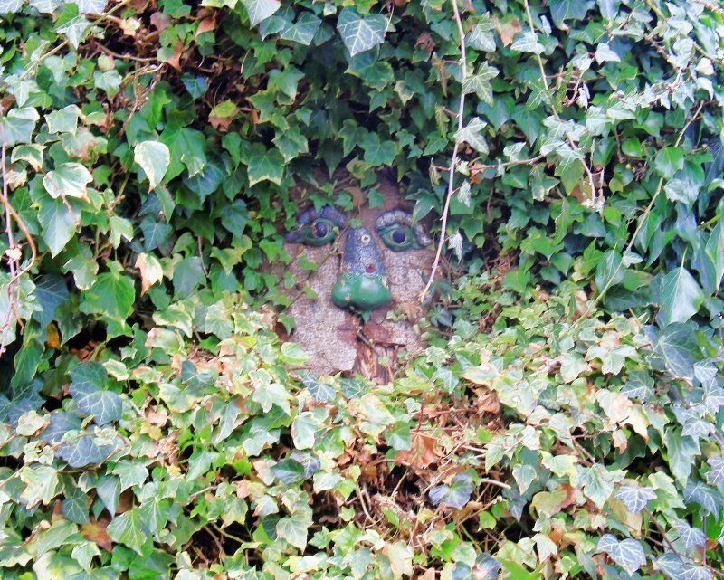 Baum-Geist in Bliedersdorf-Postmoor am Hangkamp