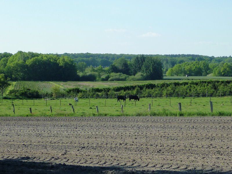 Herrlicher Blick ins Auetal bei Bliedersdorf