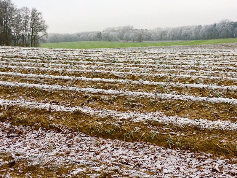 Blick über Spargelfelder im Winter in Bliedersdorf