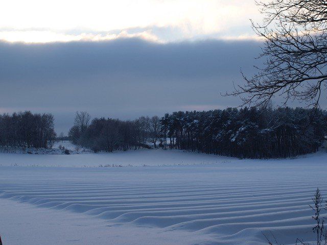 Blick über Spargelfelder im Winter II in Bliedersdorf