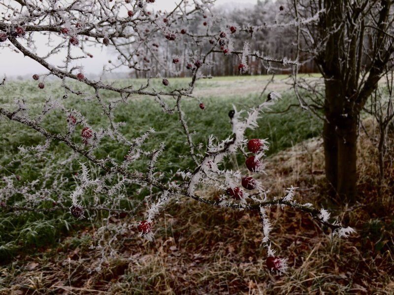 Bliedersdorf winterliche Impression
