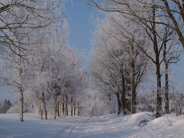 Winterlandschaft Bliedersdorf